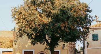 Vignettes of Greece III
